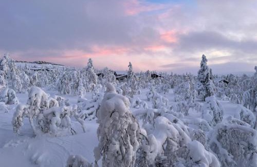 Saariselka Villa | Villa Haukka