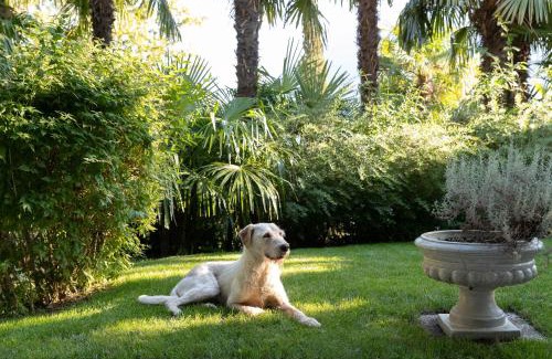 Merano Apartamento | Villa Hochland