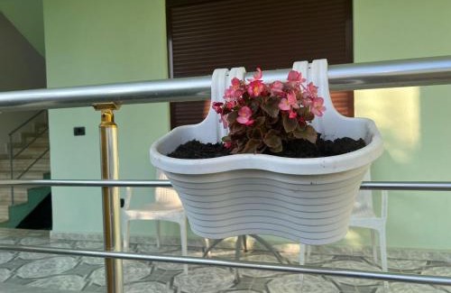 Rade Casa | Villa IBRAHIMI