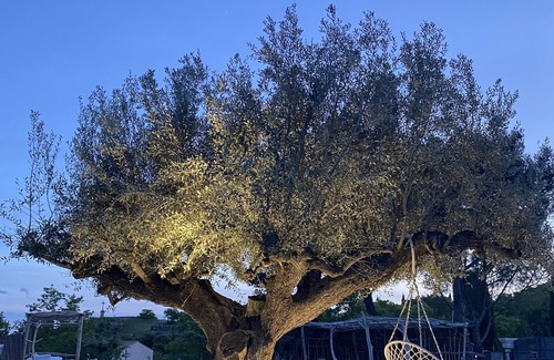 Aurons Villa | Villa in Aurons provence between Alpilles and Luberon