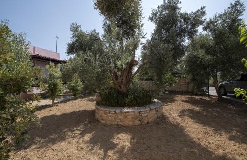 Asteri Casa | Villa in Crete near Beach and Olive Groves