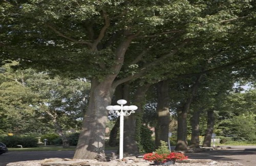 Ferienpark Gut Langen Villa | Villa confort cerca de Bad Bentheim
