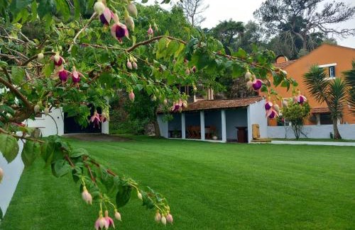 Sintra Casa | Villa in Sintra - Casa da Penha Ferrim