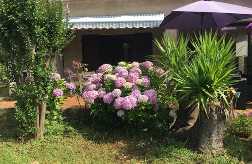 Folelli Villa | Villa in the center of the village with garden of 1400m2