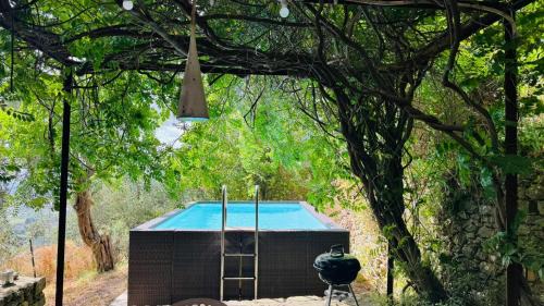 Montemagno Villa | Villa in Toscana con Piscina privata e parco privato