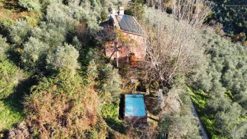 Montemagno Villa | Villa in Toscana con Piscina privata e parco privato