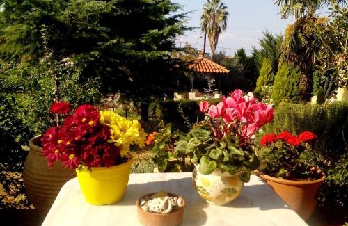 Agios Adrianos Casa | Villa Ioanna