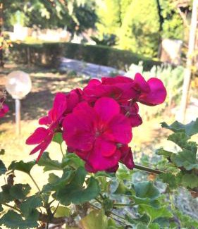 Agios Adrianos Casa | Villa Ioanna