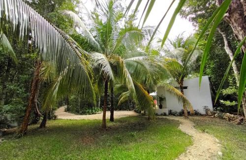 Soliman Bay Casa | Villa Ixchel private pool
