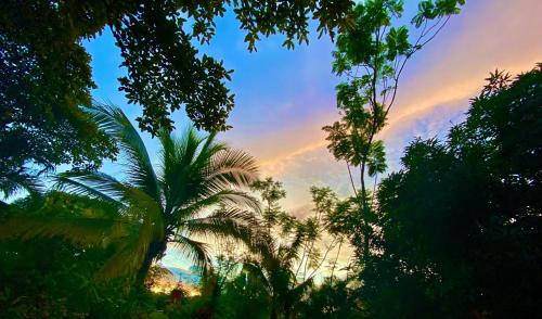 El Palmar Villa | Villa - Jardín del Edén