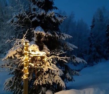Akaslompolo Apartamento | Villa Kaltio