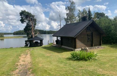 Rautalampi Apartamento | Villa Konnekoski, pearl front of Etelä-Konnevesi National park