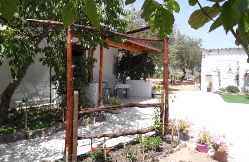 Oliena Casa | Villa L'Oliveto