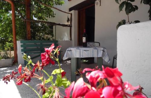 Oliena Casa | Villa L'Oliveto