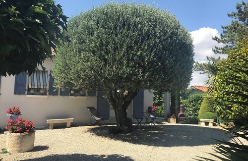 Vaux-sur-Mer Apartamento | Villa l'Olivier apartment, quiet, 10-minute walk from the beach.