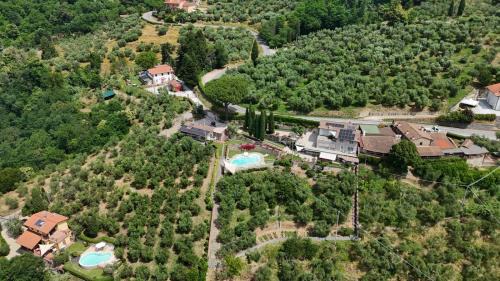 Margine Coperta-Traversagna Apartamento | Villa l'Uliveta