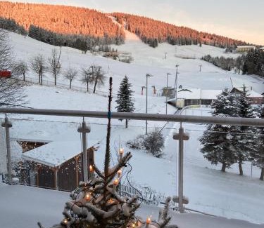 Oberwiesenthal Apartamento | Villa Laas Oberwiesenthal