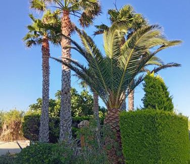 Varos Apartamento | Villa Lagosta