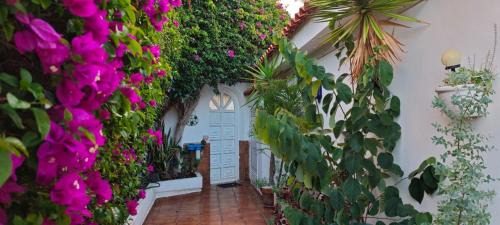 Sauzal Apartamento | Villa Larnia de Tenerife