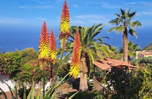 Sauzal Apartamento | Villa Larnia de Tenerife