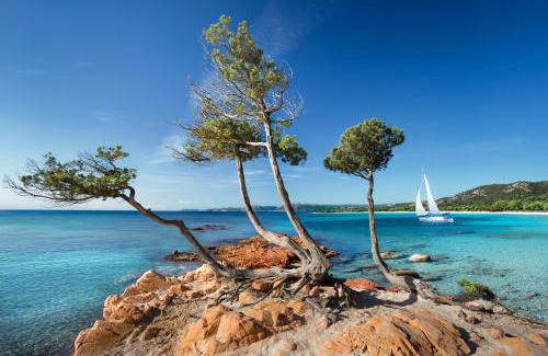 Hameau de Palombaggia Complejo | Villa Les Lieges de Palombaggia