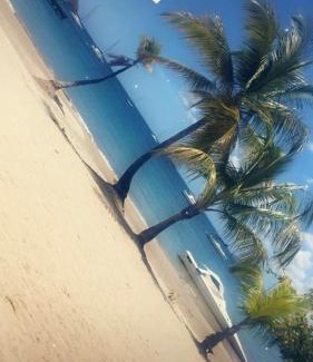 Tartane Villa | Villa les Palmiers