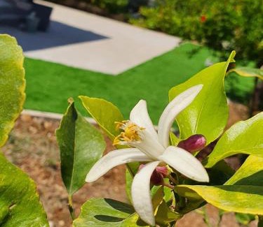 Scopello Casa | Villa Lindi
