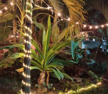 Alfredo V. Bonfil Apartamento | Villa Los Duendes