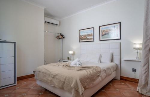 Sao Goncalo Villa | Villa Loureiro Palace With Soccer Field