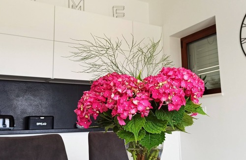 Cilipi Apartamento | Villa Lucija, escapada familiar relajante en la riviera de Dubrovnik
