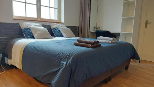 Saint-Michel-Tubœuf Cama Y Desayuno | Villa Maëlla en Normandie- chambres tout confort - SPA