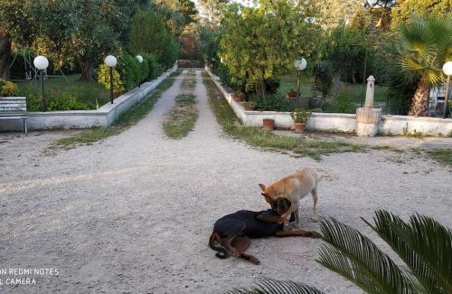 Mesagne Casa | Villa Maila - Accogliente Villetta con Giardino Privato in Salento