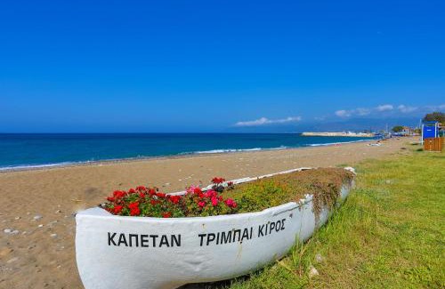 Ayia Marina Chrysochous Villa | Villa Majestic