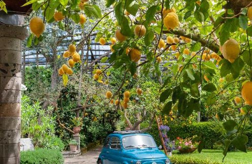 Piano di Sorrento Cama Y Desayuno | Villa Maresca B&B