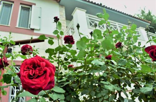 Chalcis Villa | Villa Maria/Chalkis, Drosia