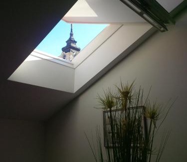 Zemun Villa | Villa Marija M L