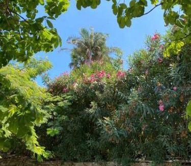 Costa Saracena-Castelluccio Villa | Villa Marisa - unforgettable Etna view