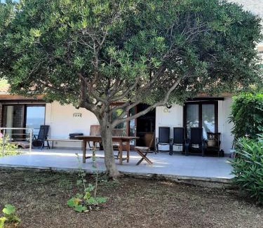 Medici Villa | Villa Matejo