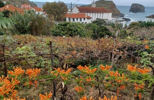Porto da Cruz Apartamento | Villa Matilde e Joaquim