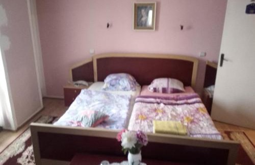 Bor Apartamento | VILLA MI - JA Brestovacka Banja
