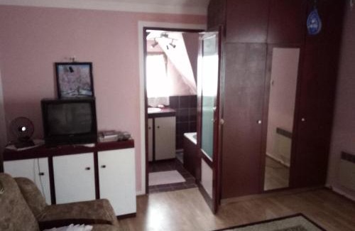 Bor Apartamento | VILLA MI - JA Brestovacka Banja