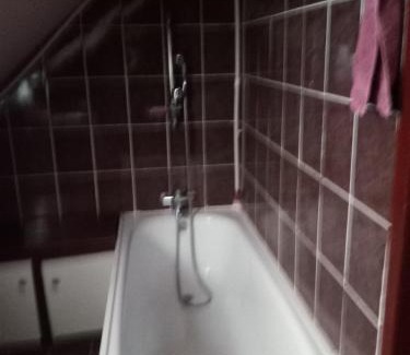 Bor Apartamento | VILLA MI - JA Brestovacka Banja