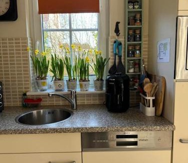 Ferienpark Gut Langen Casa | Villa Mina
