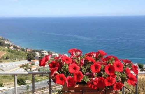 Sanremo Casa | Villa Mont des Oliviers CITRA-8055LT-1805 e 1807