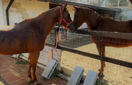 Cava de' Tirreni Apartamento | Villa Morena