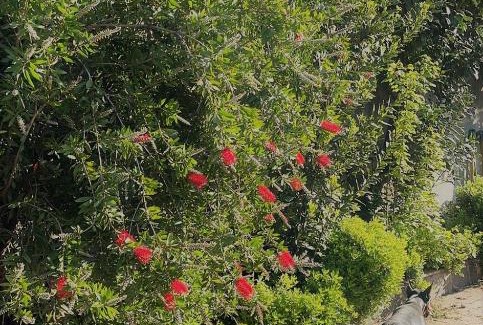 Cava de' Tirreni Apartamento | Villa Morena