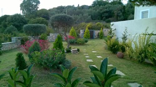 Alonissos Villa | Villa Myrto