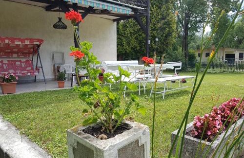 Balatonfoldvar Cama Y Desayuno | Villa-Negra Retro Panzió