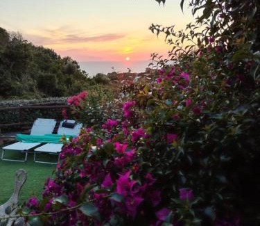 Costa Paradiso Villa | Villa Neve Costa Paradiso