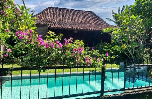 Bangunjiwo Casa | Villa Nextdoor Nature Yogyakarta